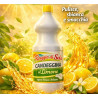 Raggio di Sole Candeggina 1L Profumata Limone