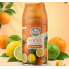 Air Fresh Deomatic Spray Agrumi